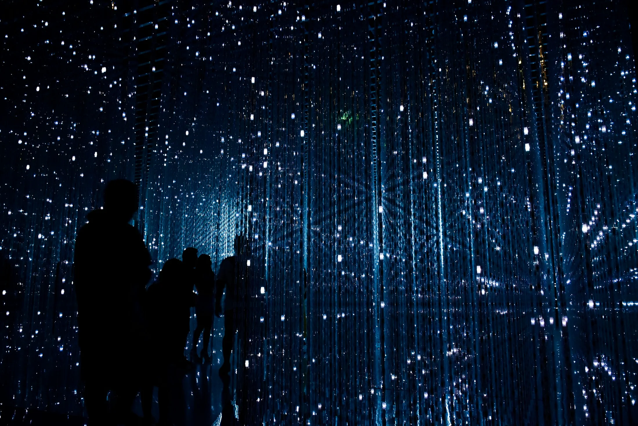 Camille Dubois · Slow Cloth, 2026 · Acrylic on canvas · 200 × 300 cm